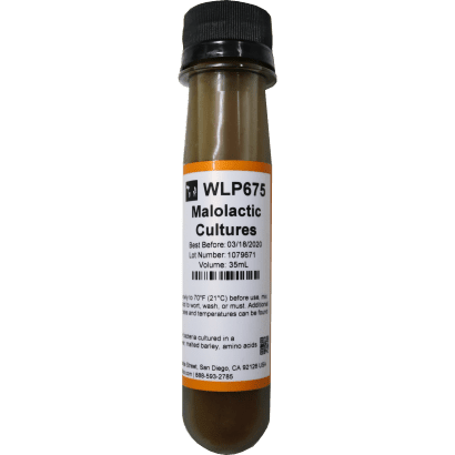 Fermento Líquido White Labs - WLP675 - Malolactic Bacteria I