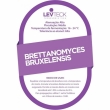 Fermento Levteck - Teckbrew Brettanomyces Bruxelensis