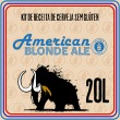 Kit Receita de Cerveja Sem Glúten Blonde Ale - 20L