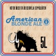 Kit Receita de Cerveja Sem Glúten Blonde Ale - 5L