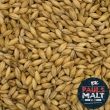 Malte Pale Ale Maris Otter - Keep Flying - Pauls Malt