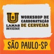 Workshop de Carbonatação - Turma São Paulo