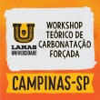 Workshop Teórico de Carbonatação Forçada - Campinas